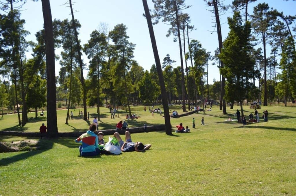 Parque Do Buçaquinho