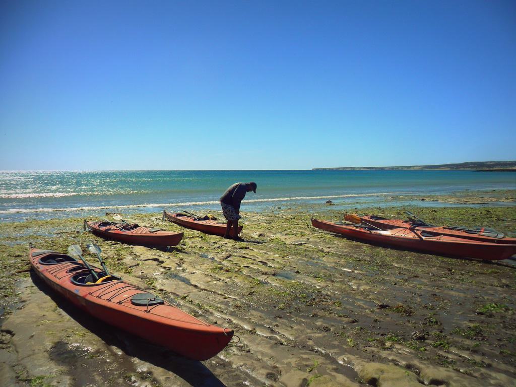 Kayak de mar, Puerto Madryn