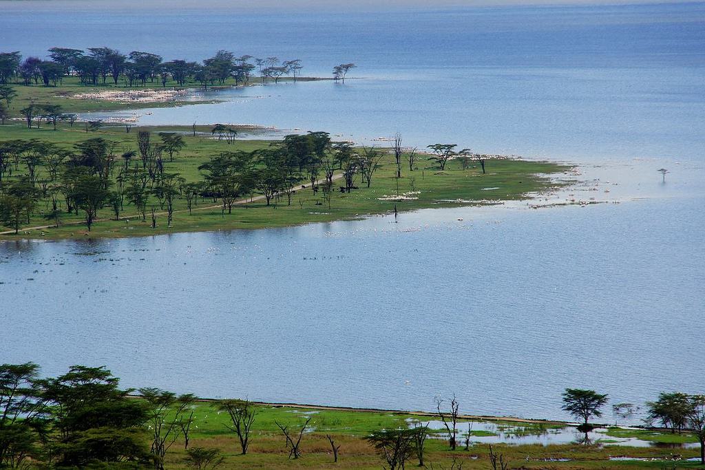 Lago nakuru