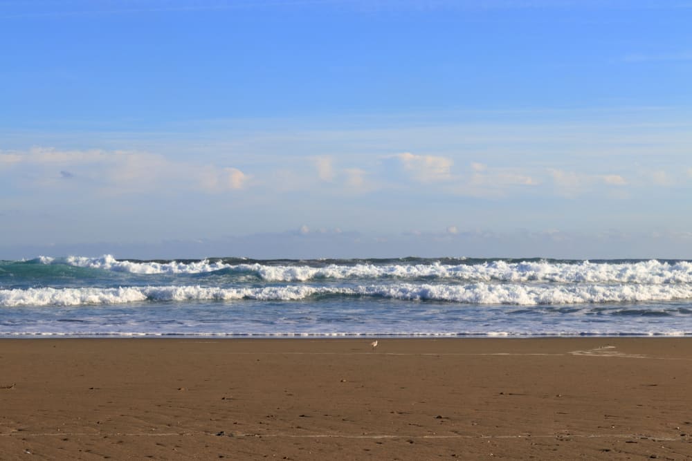 Playa Irino