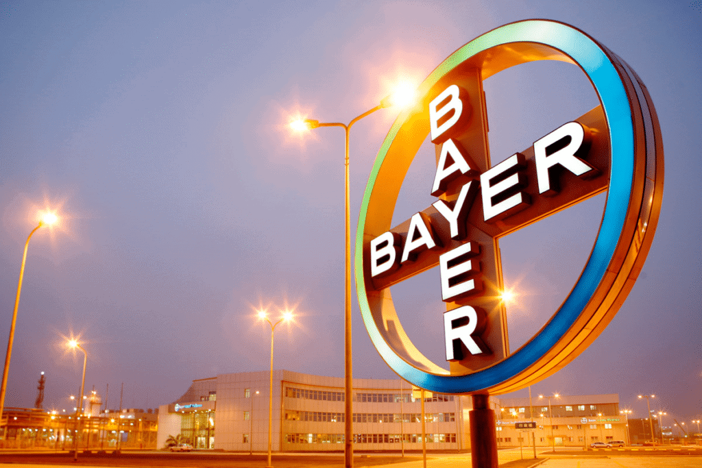 Bayer Cruz