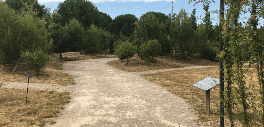 Lunel Arboretum