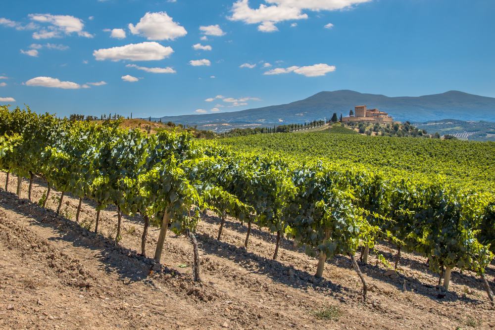 Región vinícola de Chianti