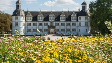 15 mejores cosas para hacer en Paderborn (Alemania)