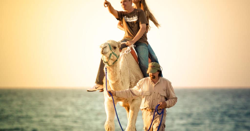 Safari en camello en Cabo San Lucas