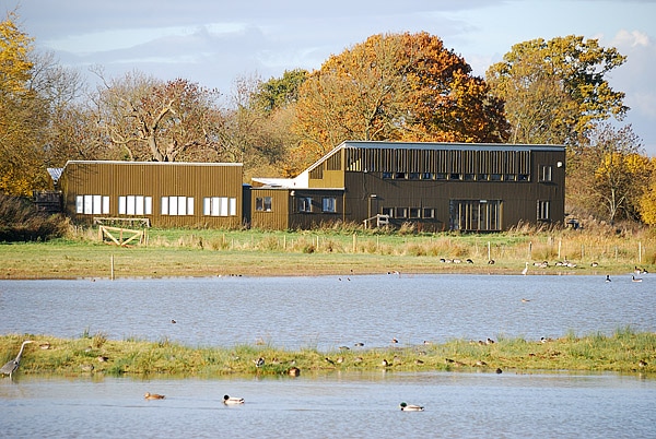 Centro de observación de aves acuáticas de Anglian