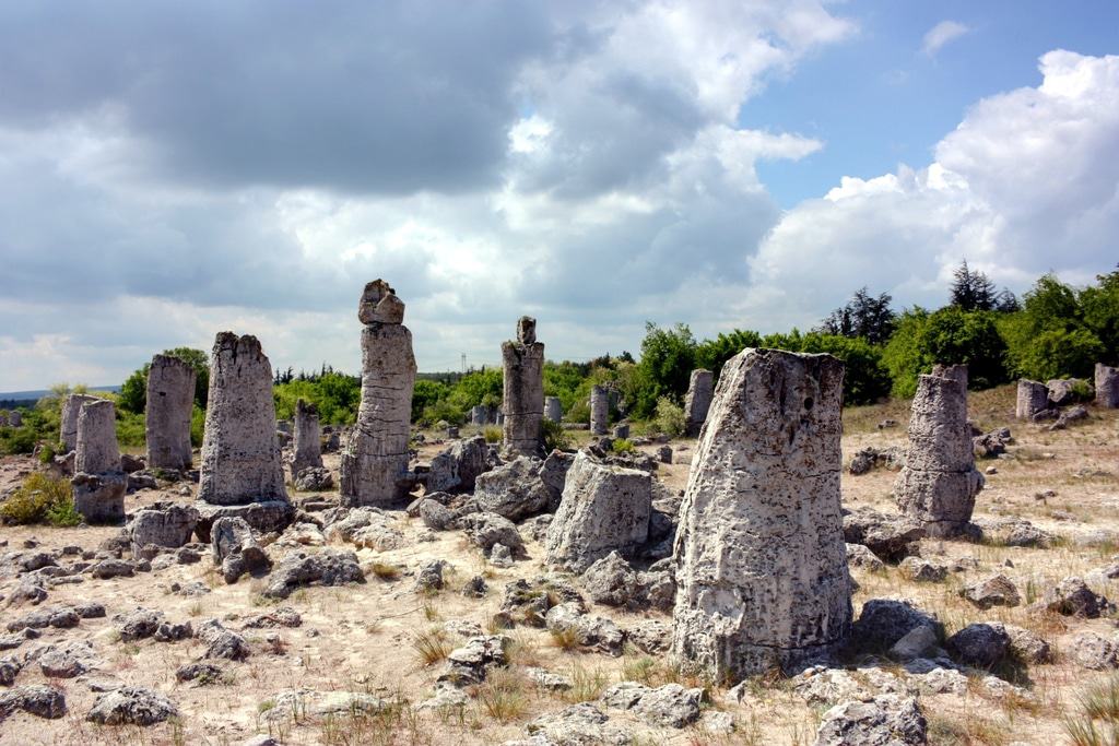 Bosque de piedra en Varna