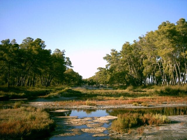 Laguna Karavasta