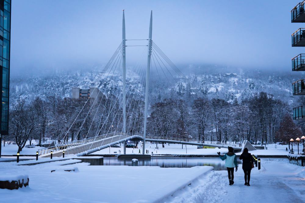 Puente de Ypsilon en invierno