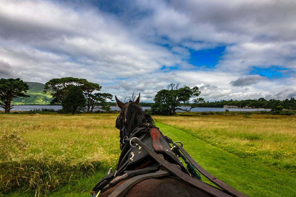 Paseo a caballo en el Parque Nacional de Killarney